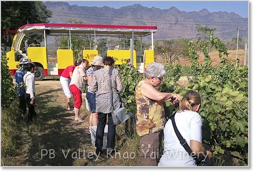 PB Valley Khao Yai Winery Thailand